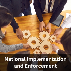 National Implementation and Enforcement